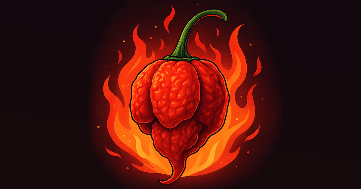 История на Carolina Reaper: най-лютата чушка в света